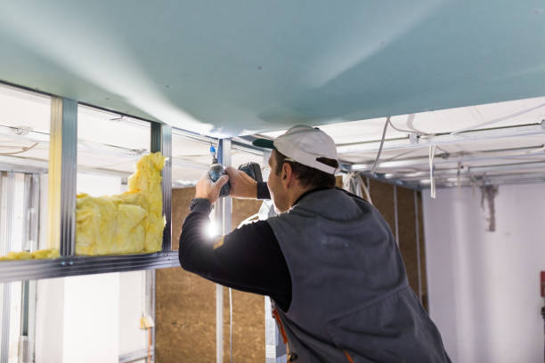 Best Geographic-Specific Insulation Services in Dillon, SC