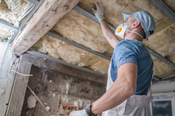 Best DIY Insulation Kits and Guidance in Dillon, SC