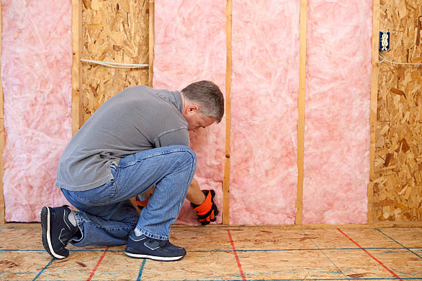 Best Specialized Insulation Services in Dillon, SC